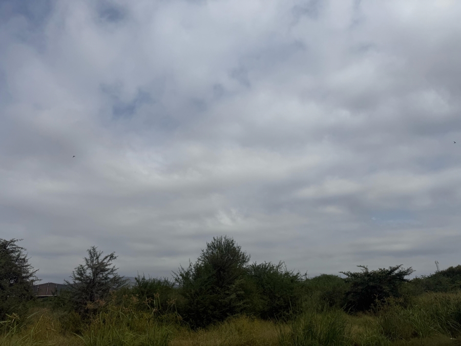 To Let commercial Property for Rent in Zinniaville North West